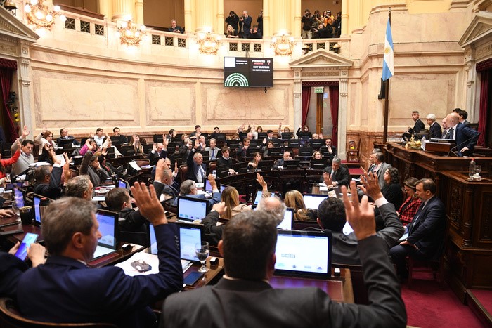EL SENADO RECHAZÓ EL VETO DE MILEI Y REPUSO LA LEY DE EMERGENCIA EN DISCAPACIDAD
