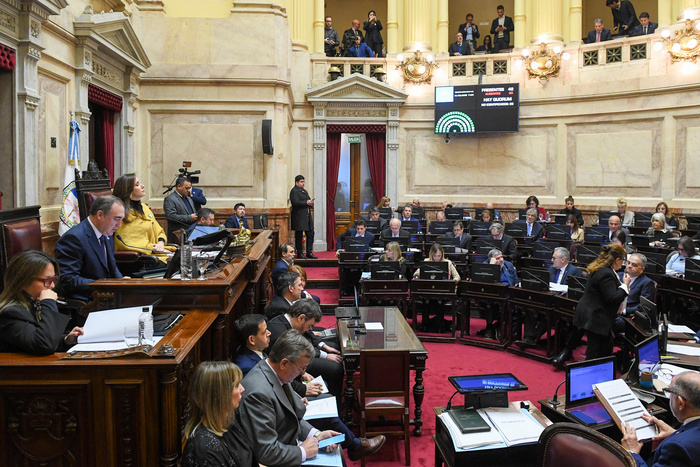 EL SENADO BUSCA REVERTIR VETOS DE MILEI Y LIMITAR LOS DNU