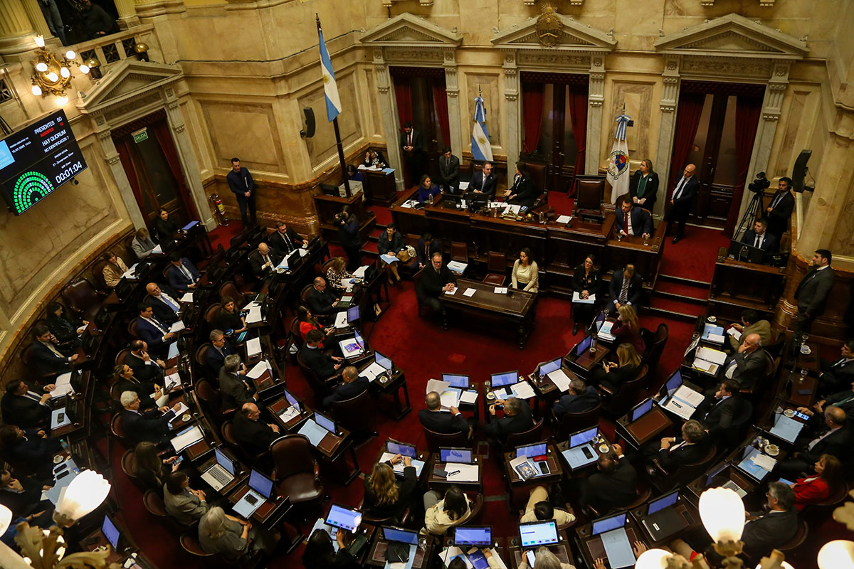 EL NUEVO CONGRESO: LLA AMPLÍA SU PODER CON 30 DIPUTADOS MÁS Y UN SENADO MÁS EQUILIBRADO