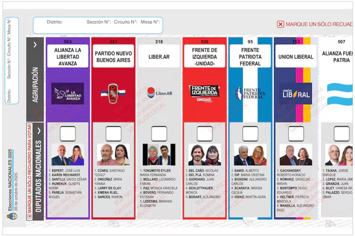 ELECCIONES 2025: LA BOLETA DE BUENOS AIRES SEGUIRÁ MOSTRANDO LA FOTO DE ESPERT