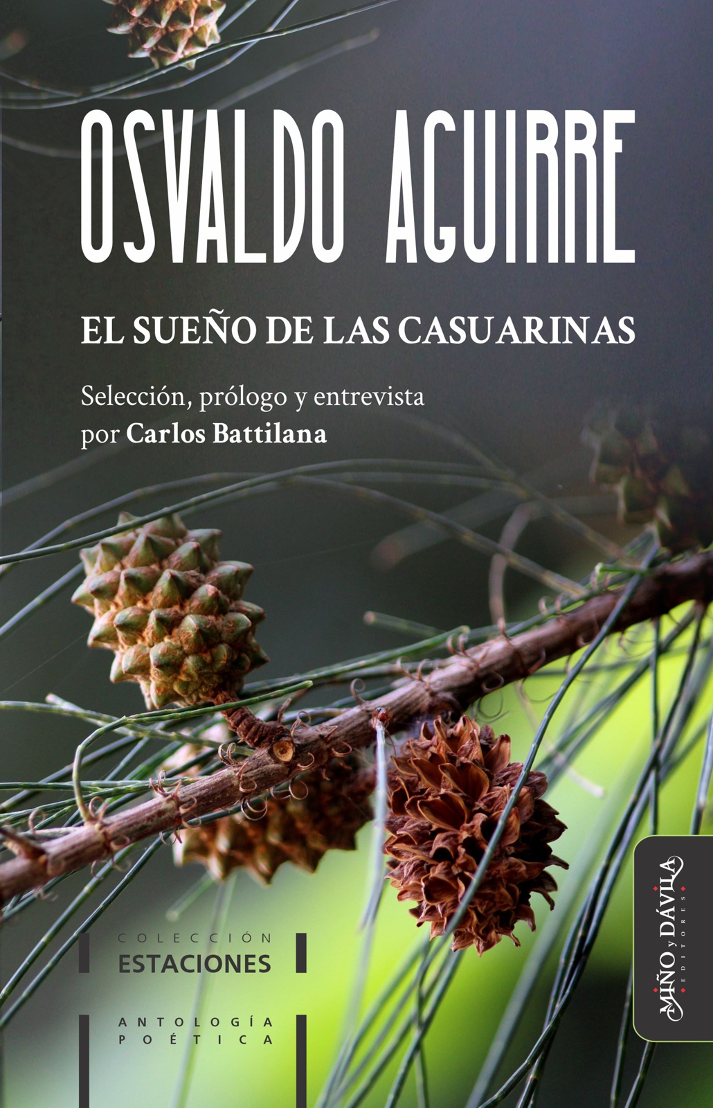 <em>EL SUEÑO DE LAS CASUARINAS</em> DE OSVALDO AGUIRRE