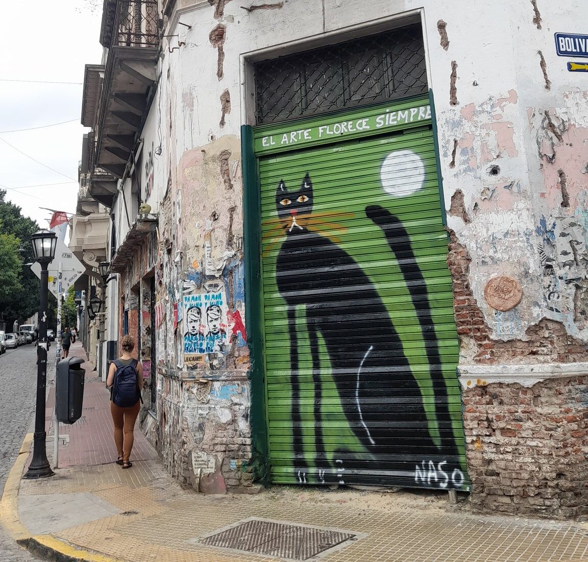 SELECCIÓN DE <em>EL PENE DE MEMBRILLO</em> DE RAMA COLL