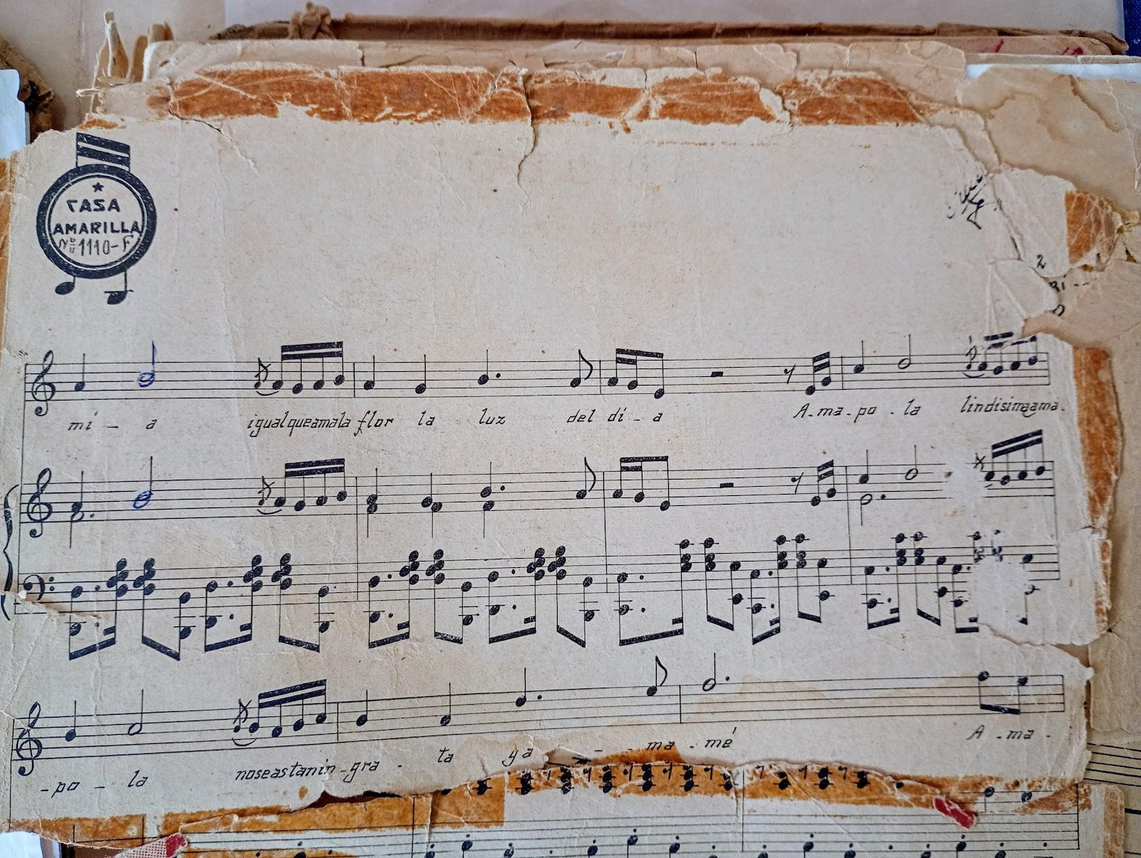 <em>LA GEOGRAFÍA DE LA MEMORIA</em> POR NATASHA ESTEPARIA