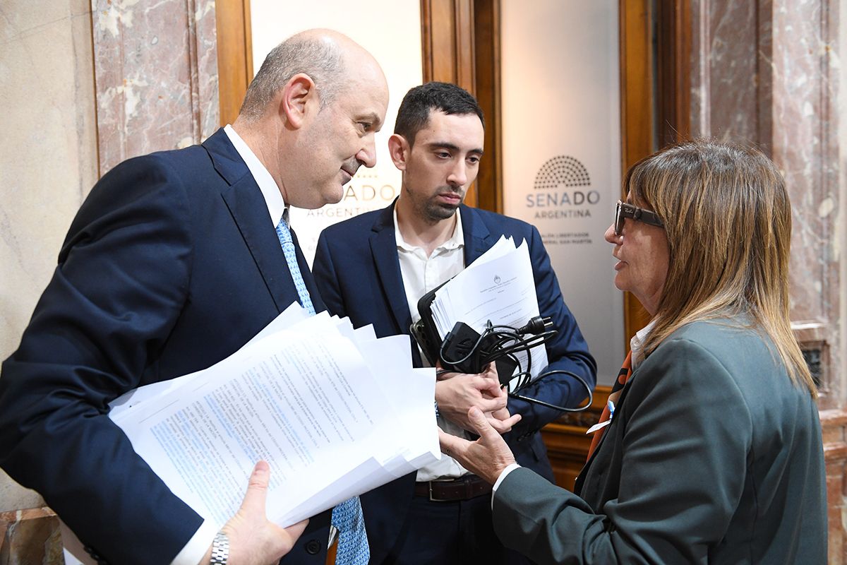 MILEI RETIRÓ EL CAPÍTULO SOBRE EXTRANJERIZACIÓN DE TIERRAS Y RECRUDECE LA INTERNA OFICIALISTA