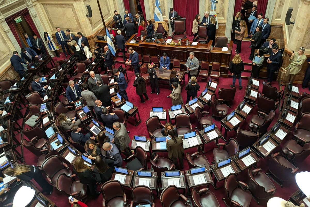 CONVOCAN A MOVILIZARSE AL CONGRESO CONTRA EL "SÚPER RIGI" Y LA REFORMA DE LA LEY DE TIERRAS