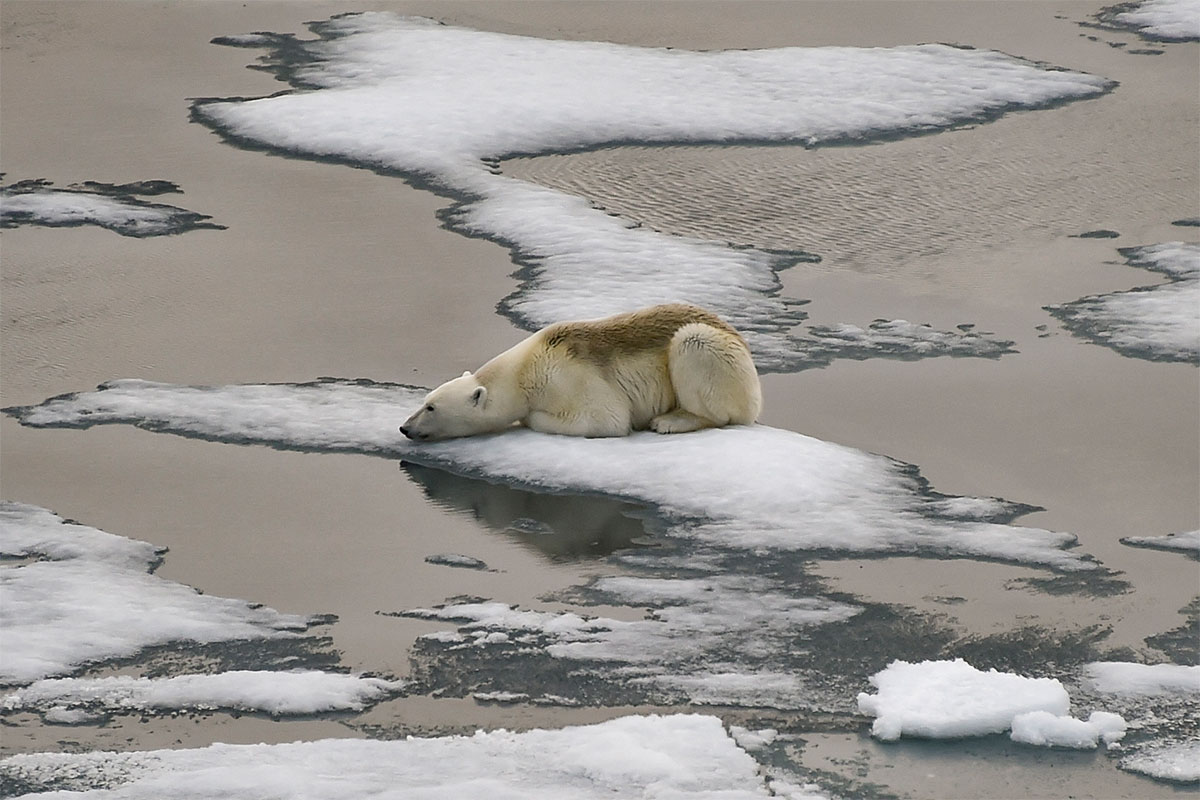 DESCUBREN QUE EL CALENTAMIENTO GLOBAL PODRÍA SER 30% MAYOR POR LAS EMISIONES QUE GENERA EL PROPIO CAMBIO CLIMÁTICO